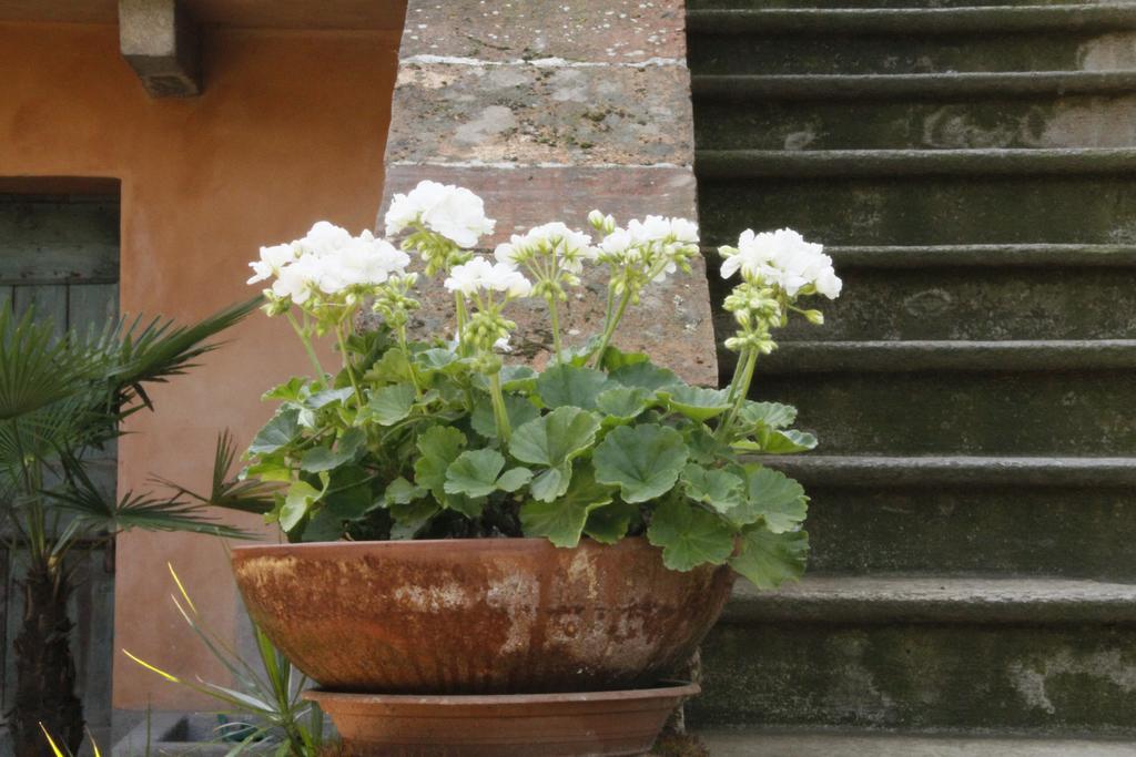 Borgo Archinto Robecco sul Naviglio Exterior foto