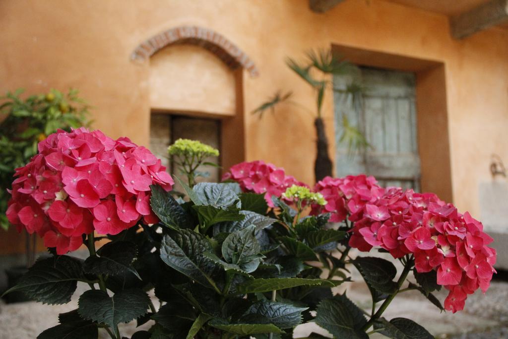 Borgo Archinto Robecco sul Naviglio Exterior foto